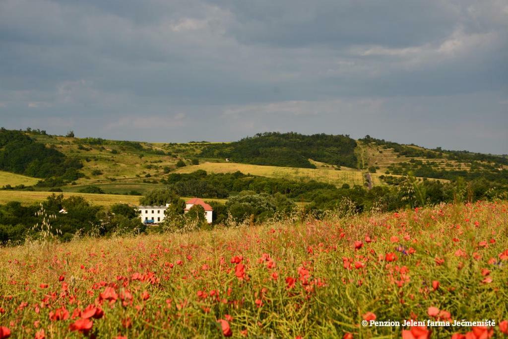Jeleni Farma Jecmeniste Otel Vrbovec Dış mekan fotoğraf